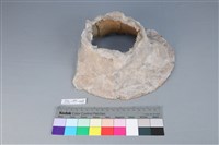 藏品(連杯形器)的圖片