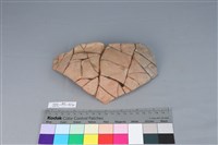 藏品(陶片)的圖片