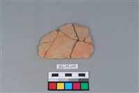 藏品(陶片)的圖片