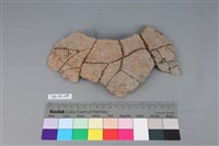 藏品(陶罐)的圖片