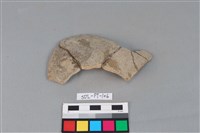 藏品(陶片)的圖片