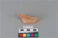 藏品(陶罐)的圖片