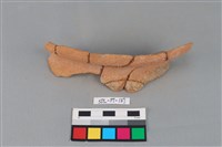 藏品(陶罐)的圖片