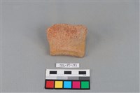 藏品(陶罐)的圖片