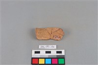 藏品(連杯形器)的圖片