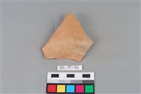 藏品(陶片)的圖片