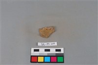 藏品(陶片)的圖片