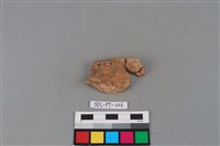 藏品(陶片)的圖片