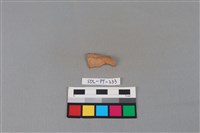 藏品(陶片)的圖片