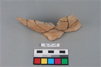 藏品(陶罐)的圖片