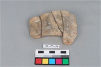 藏品(陶片)的圖片