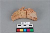 藏品(陶罐)的圖片