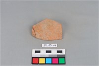 藏品(陶片)的圖片