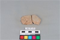 藏品(陶片)的圖片