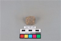 藏品(陶片)的圖片