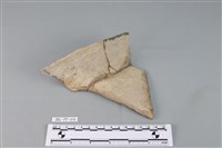 藏品(陶罐)的圖片