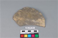 藏品(陶片)的圖片