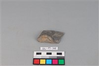 藏品(陶蓋)的圖片