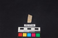 藏品(錛鑿形器)的圖片