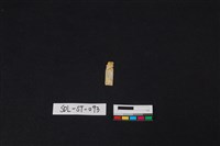 藏品(玉飾)的圖片