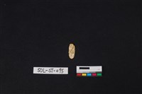 藏品(玉飾)的圖片