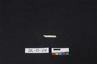 藏品(玉簪)的圖片