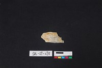 藏品(廢料)的圖片