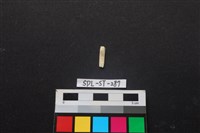 藏品(玉飾)的圖片