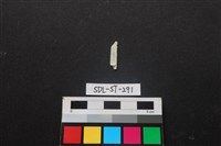 藏品(玉飾)的圖片