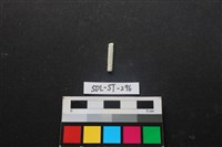 藏品(玉飾)的圖片