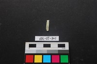 藏品(玉飾)的圖片