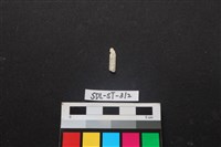 藏品(玉飾)的圖片