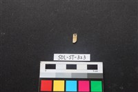 藏品(玉飾)的圖片