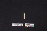 藏品(玉飾)的圖片