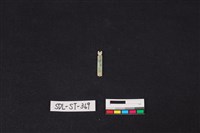 藏品(玉飾)的圖片