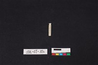 藏品(玉飾)的圖片