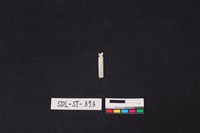 藏品(玉飾)的圖片