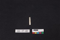 藏品(玉飾)的圖片