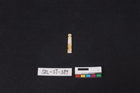 藏品(玉飾)的圖片