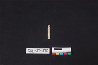 藏品(玉飾)的圖片