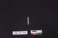 藏品(玉飾)的圖片