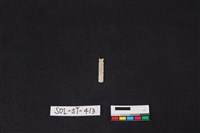 藏品(玉飾)的圖片