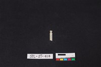 藏品(玉飾)的圖片