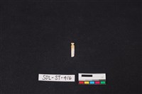 藏品(玉飾)的圖片