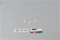 藏品(玉飾)的圖片