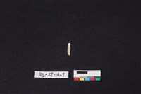 藏品(玉飾)的圖片