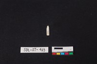 藏品(玉飾)的圖片