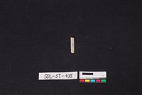 藏品(玉飾)的圖片