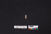 藏品(玉飾)的圖片