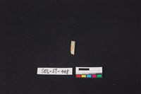 藏品(玉飾)的圖片